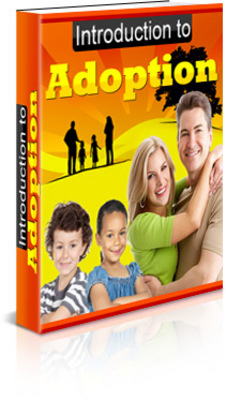 Product picture Introduction to Adoption